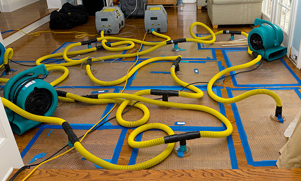 Professional Crawl Space Water Removal technician working in Hamel, IL
